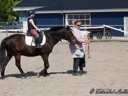 img-99031-591